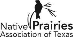 Native Prairies Association of Texas